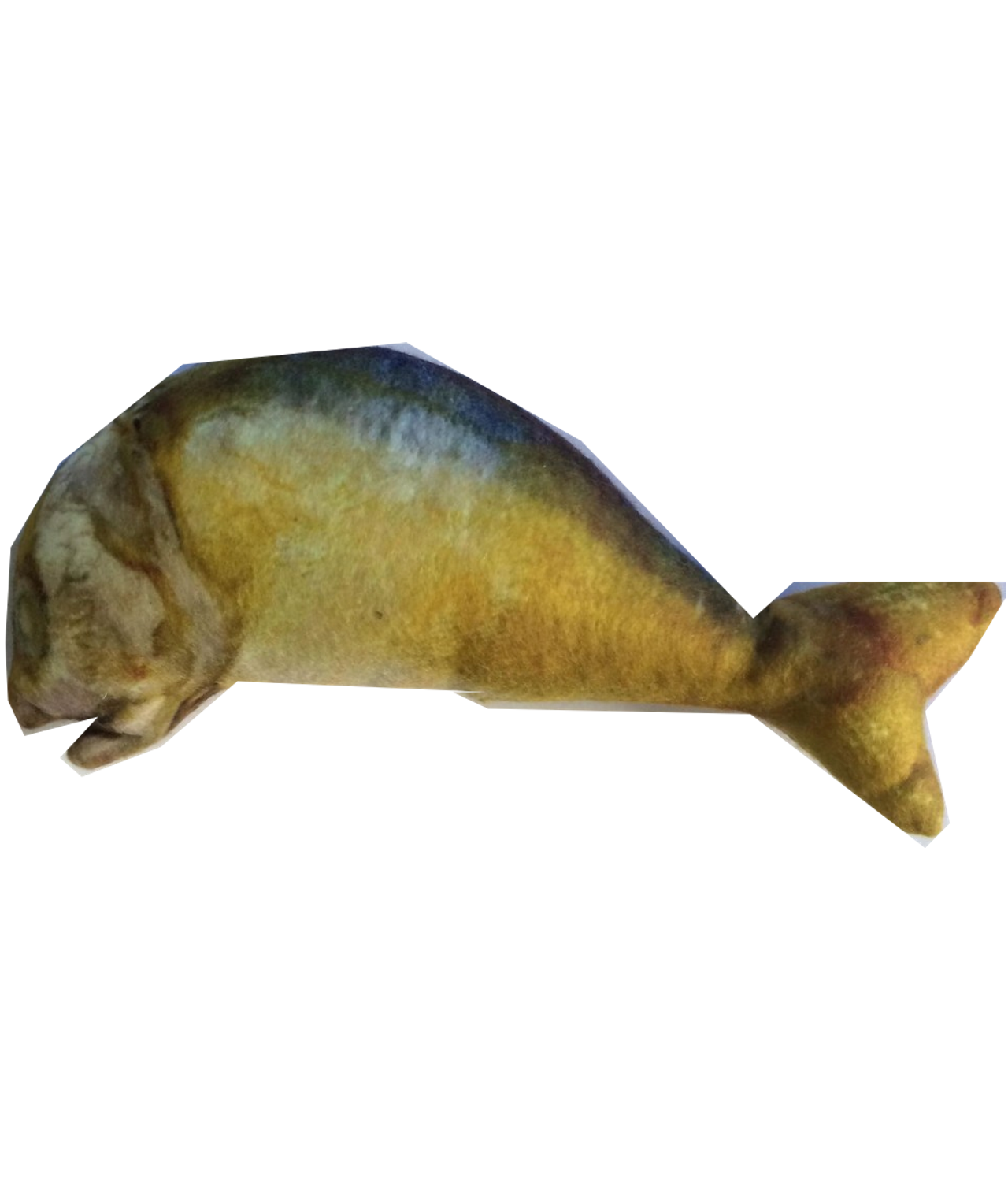fish catnip