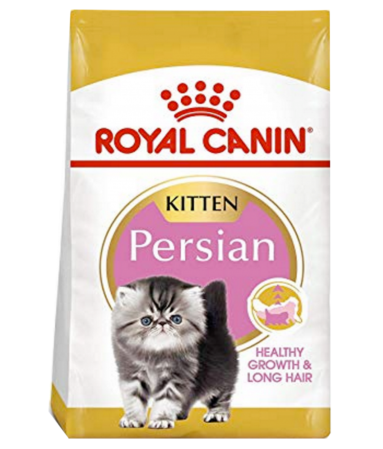 Royal Canin Persian Kitten 400gm Poshaprani persian-kittens-for-sale-persiankittenpals